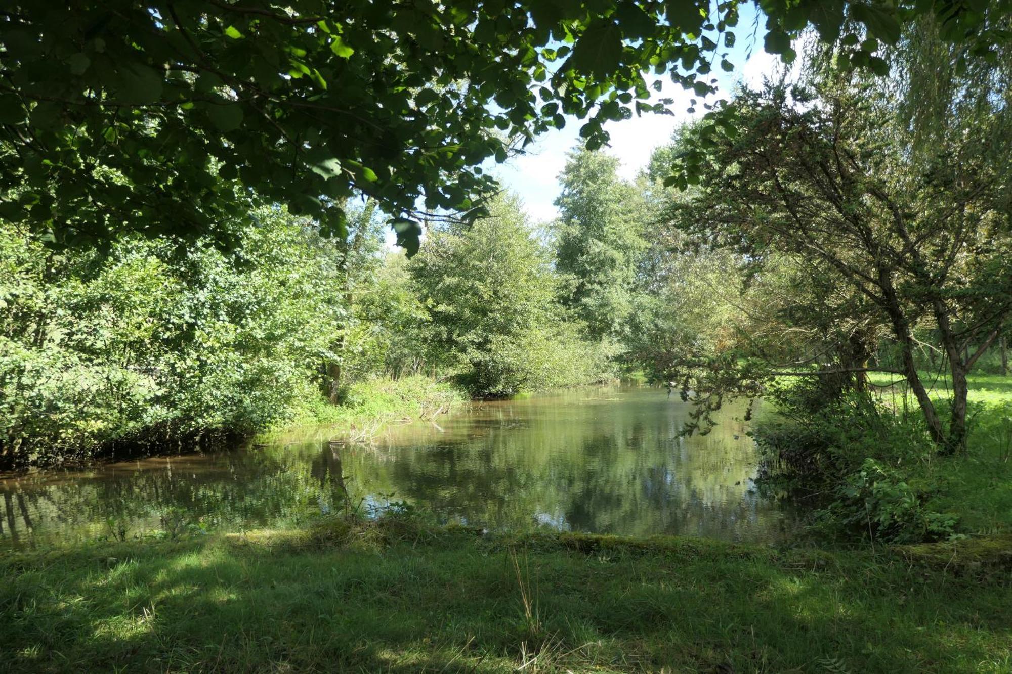 Bed and Breakfast Le Moulin Aux Ecrevisses Thonnance-les-Joinville Экстерьер фото